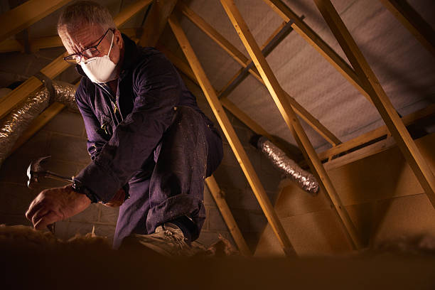 Best Attic Insulation Installation  in New Castle, CO