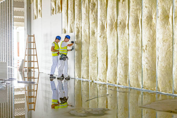 Insulation for Commercial Buildings